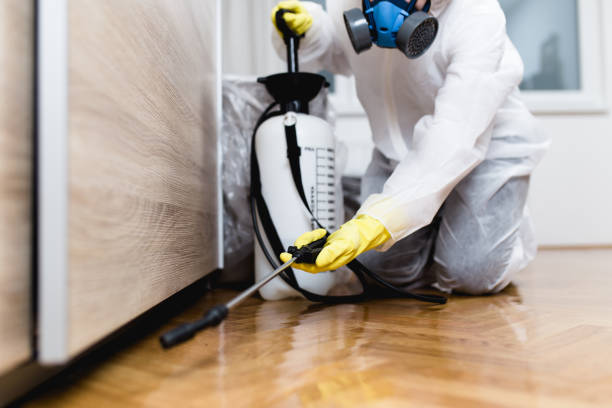 Reliable Fort Myers, FL Pest Control Solutions
