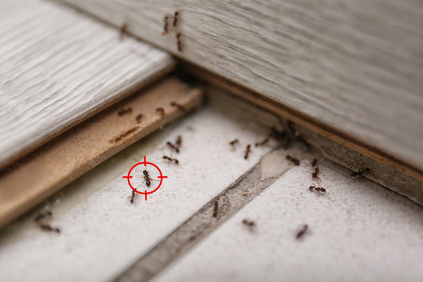 Best Cockroach Control Services  in Fort Myers, FL