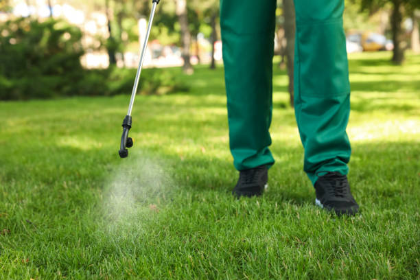 Best Local Pest Control Services  in Fort Myers, FL