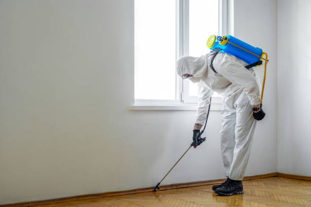 Best Termite Control Services  in Fort Myers, FL