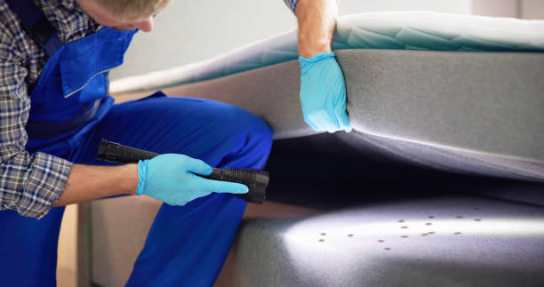 Best Insect Control  in Fort Myers, FL