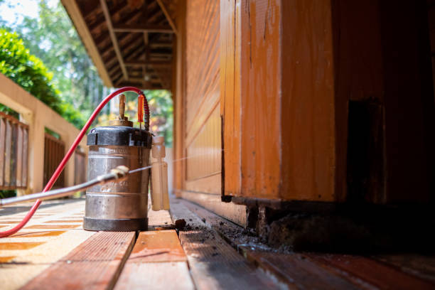 Best Best Pest Control Companies  in Fort Myers, FL