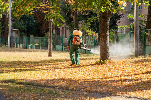 Best Pest Removal Services  in Fort Myers, FL