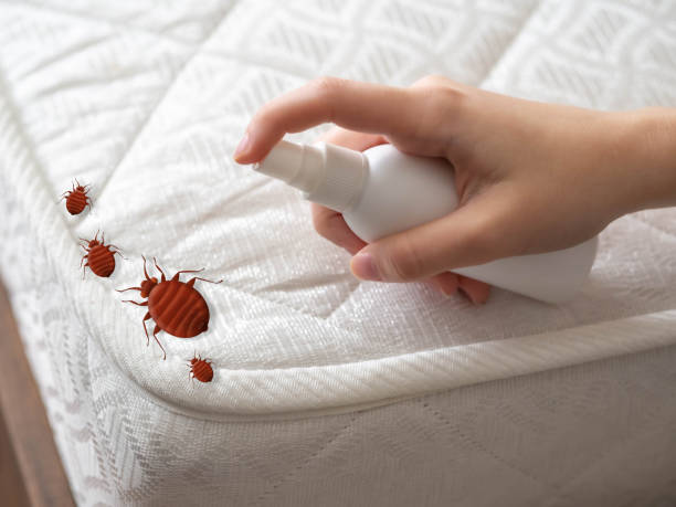 Best Best Pest Control Companies  in Fort Myers, FL
